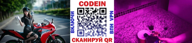 закладки Цимлянск мега ТОР Codein напиток Lean (лин)