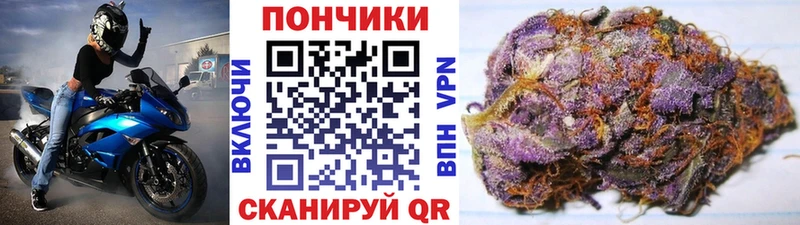 где продают   Цимлянск  Каннабис гибрид 